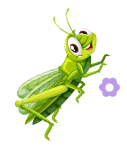 Cricket