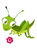 Grass-Hopper